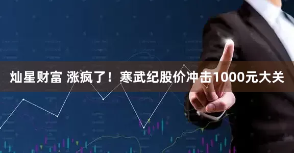 灿星财富 涨疯了！寒武纪股价冲击1000元大关