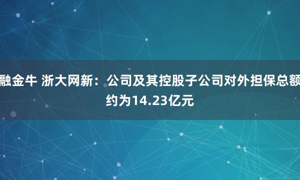 融金牛 浙大网新：公司及其控股子公司对外担保总额约为14.23亿元