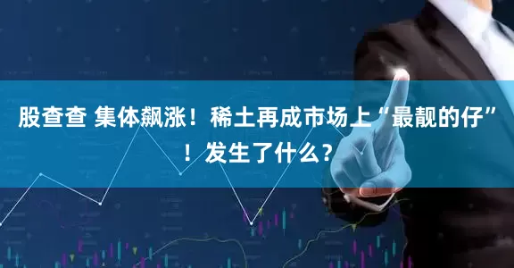 股查查 集体飙涨！稀土再成市场上“最靓的仔”！发生了什么？