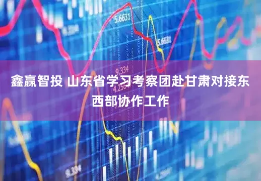 鑫赢智投 山东省学习考察团赴甘肃对接东西部协作工作