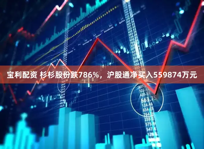 宝利配资 杉杉股份跌786%，沪股通净买入559874万元